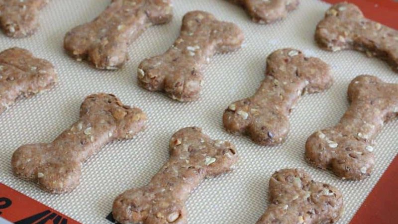 Paws and Relax: CBD Dog Treats for Stress Relief