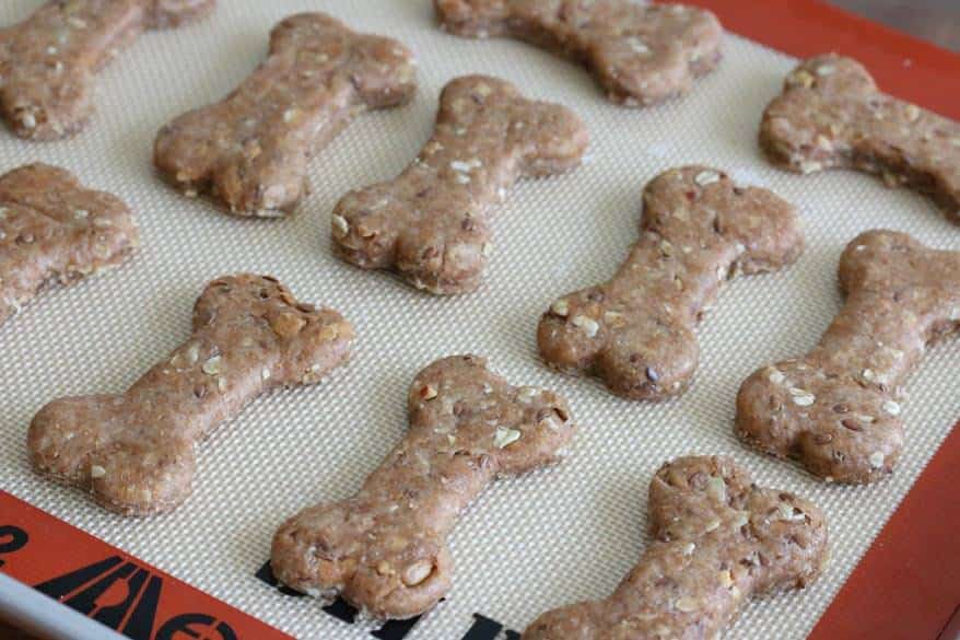 Paws and Relax: CBD Dog Treats for Stress Relief